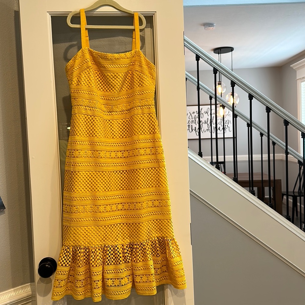 Bright Dress NWT